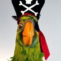 (бал) Пиратский Попугай